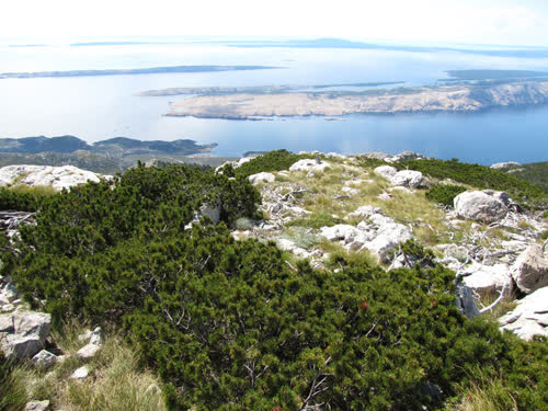 Discover the pristine beauty of National Park North Velebit in Croatia. Explore its magnificent landscapes, diverse wildlife, and thrilling hiking trails. Immerse yourself in nature's wonders and create unforgettable memories in this enchanting destination.