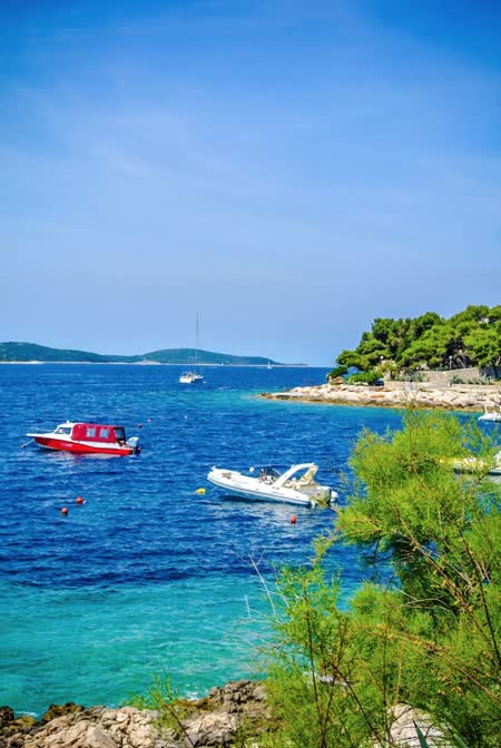 Palmizana Botanical Garden, near Hvar, is a stunning oasis of exotic plants and vibrant colors, offering a serene escape in the heart of Croatia's Adriatic coastline.