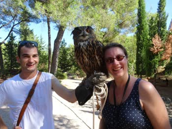 Raptor Centre Sokolarski, near Sibenik, is a must-visit attraction for bird enthusiasts. Discover a wide variety of majestic raptors and learn about their conservation efforts.