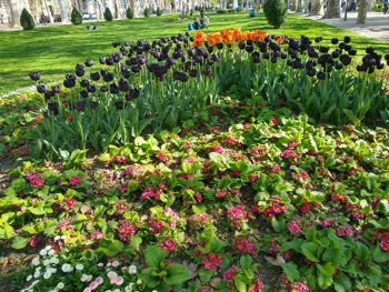 Park Zrinjevac is a picturesque green oasis in the heart of Zagreb, offering a tranquil escape with its beautiful flower beds, fountains, and live music performances.