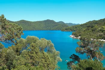 Lokrum Island, near Dubrovnik, is a picturesque nature reserve with lush green landscapes, crystal-clear waters, and a fascinating history dating back to medieval times.