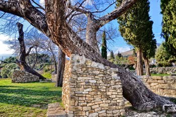 Biblical Garden Stomorija, near Kastela village, is a serene and picturesque garden showcasing a variety of plants mentioned in the Bible.